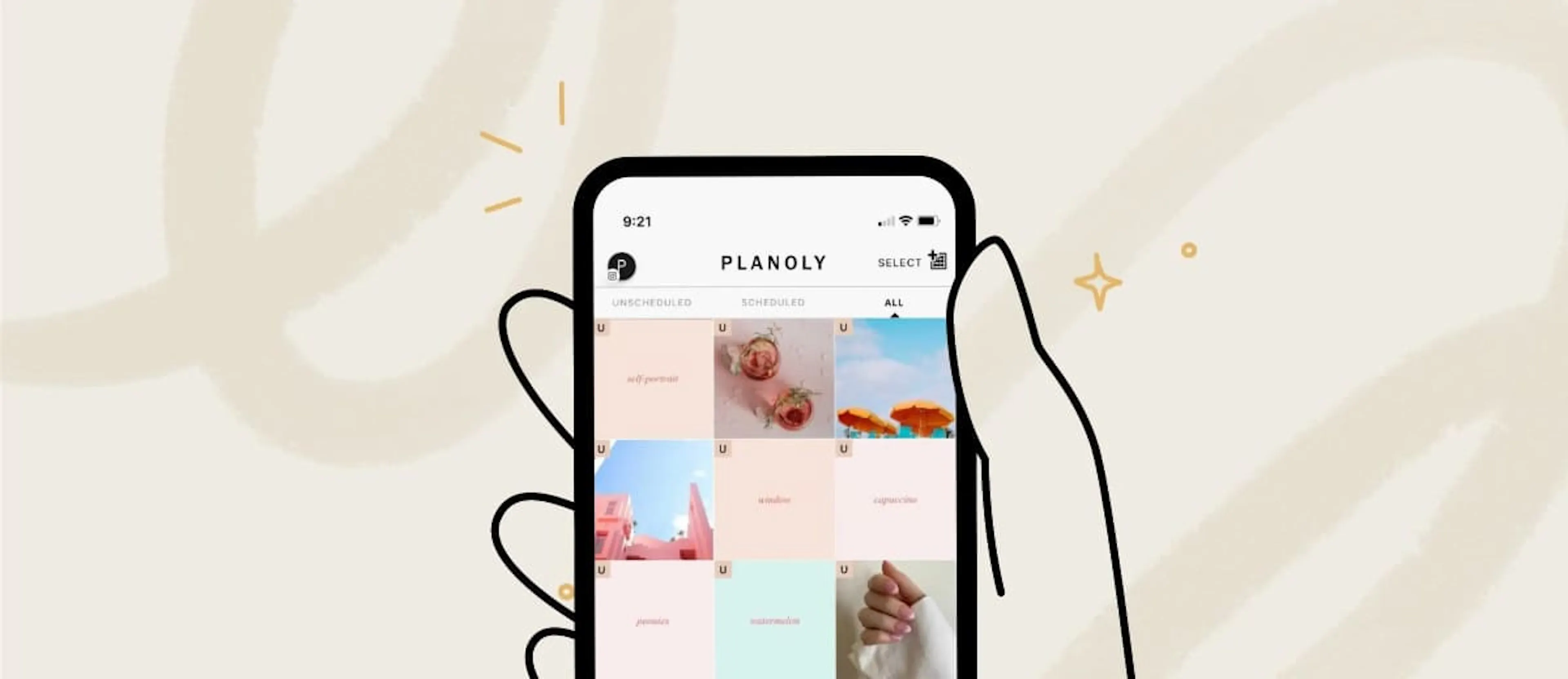 How to Use PLANOLY's Placeholder Feature