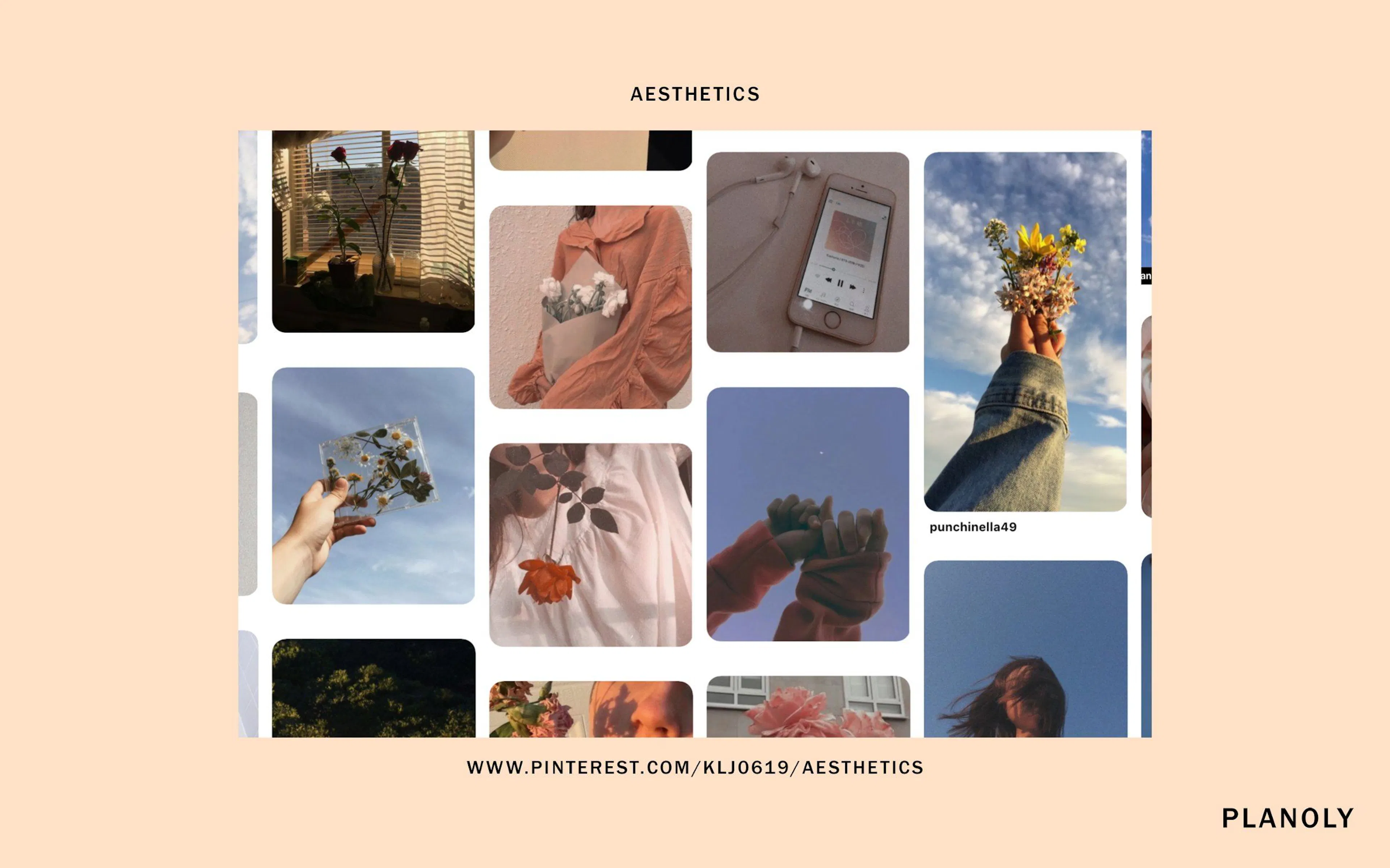Image-7
