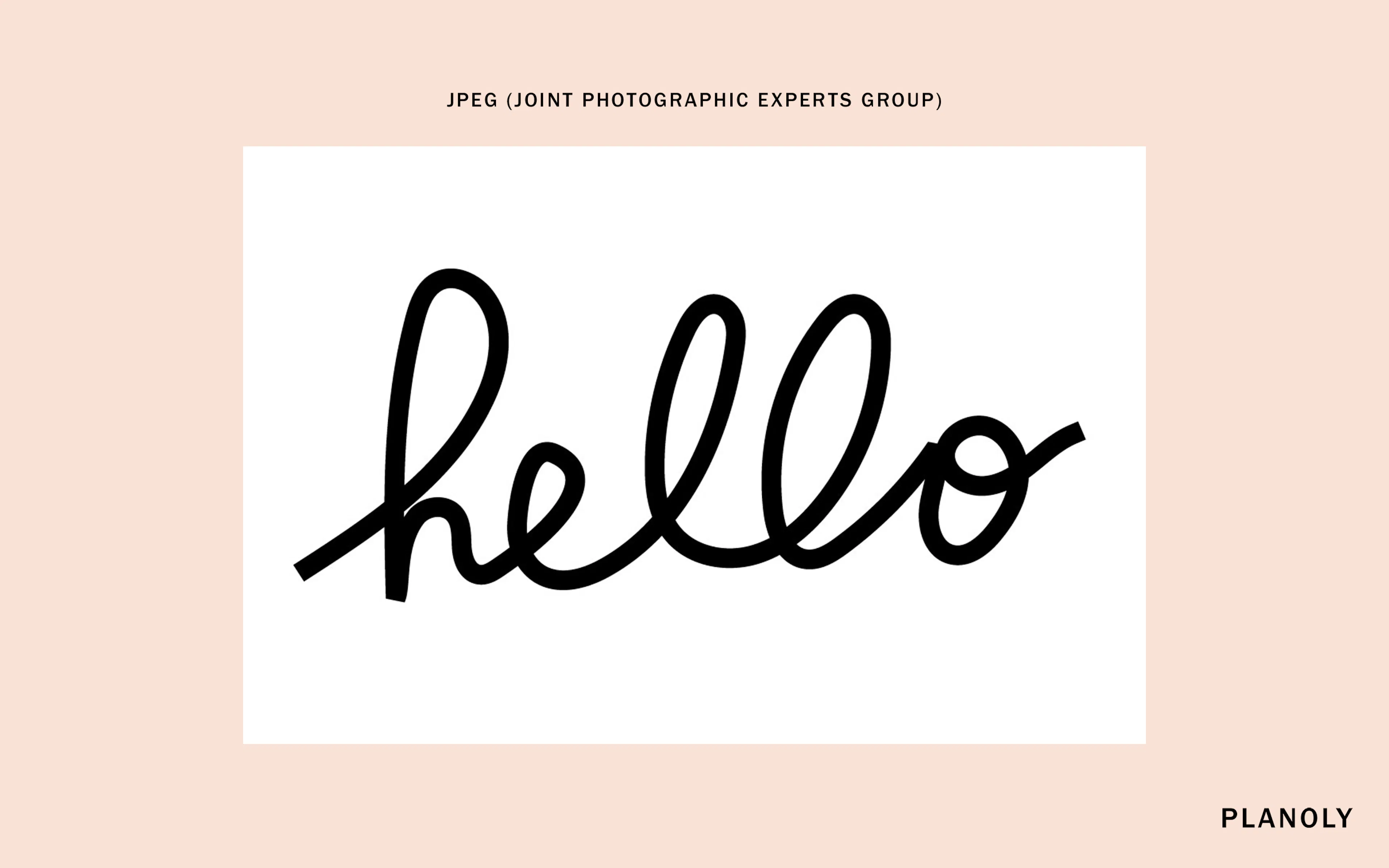 PLANOLY-Blog-Post-File-Types-and-When-to-Use-Them-Image-1