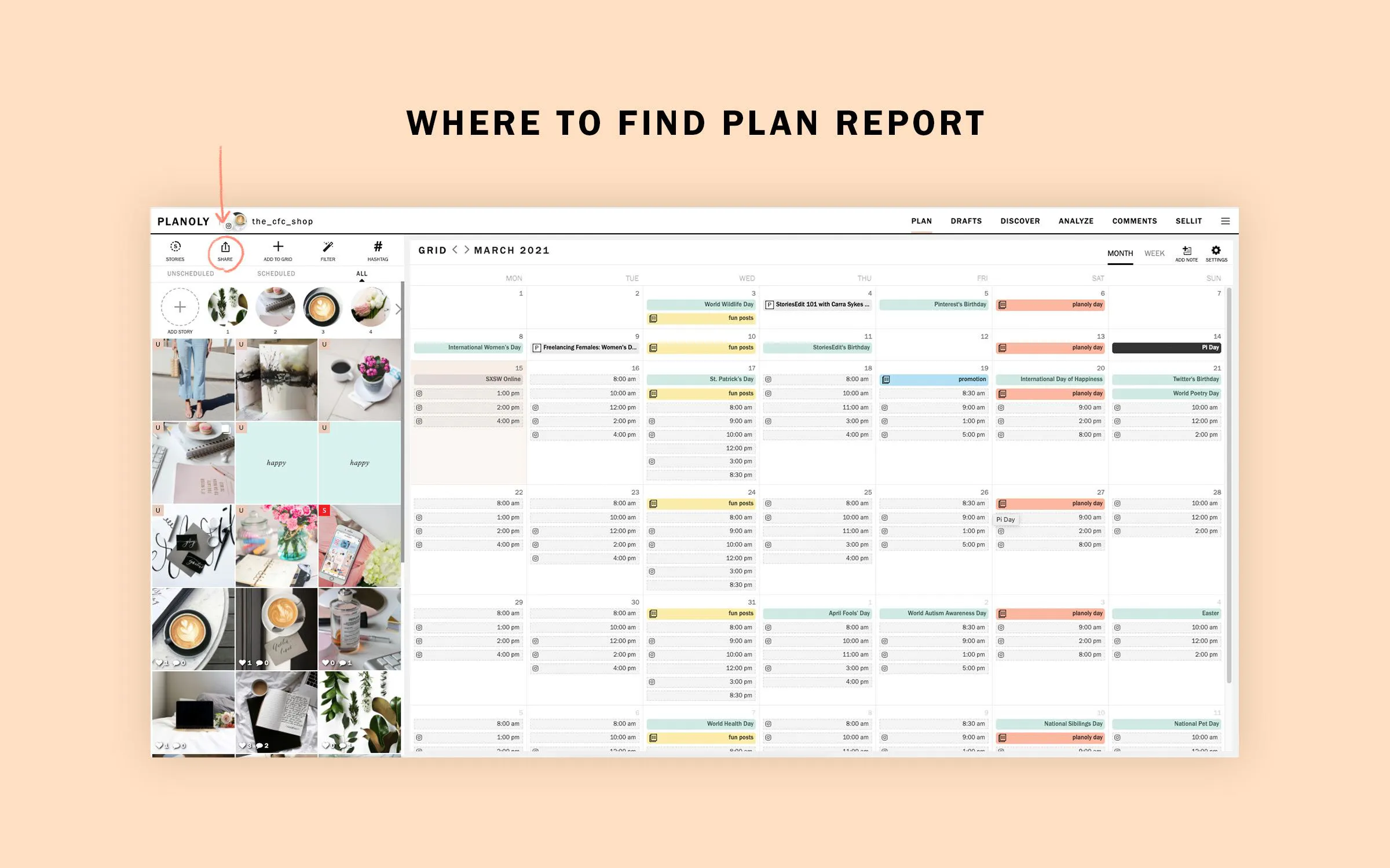 PLANOLY - Blog Refresh - Horizontal Yellow