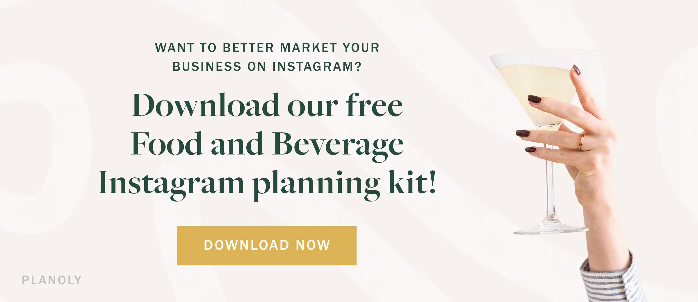 PLANOLY - Blog - How to Work with Food Bloggers and Influencers - Download Now Banner