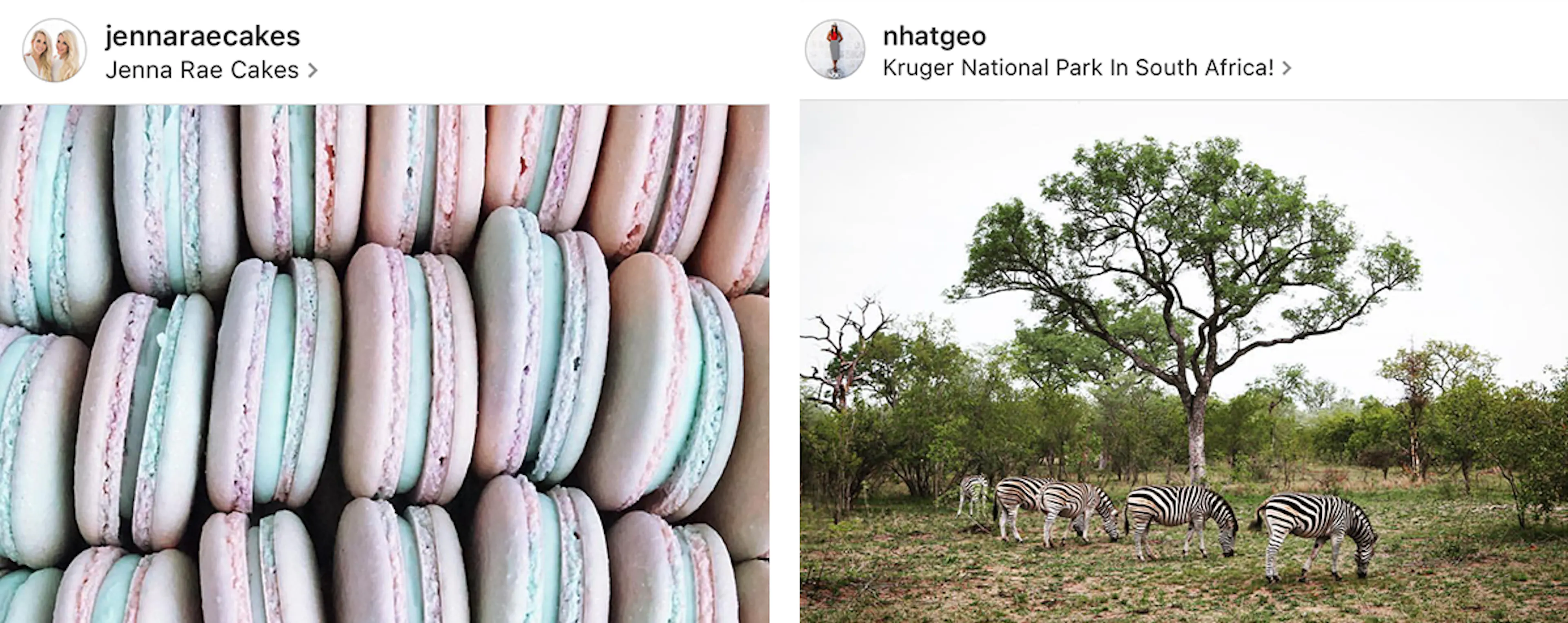 Using photography as a powerful medium patterns planoly
