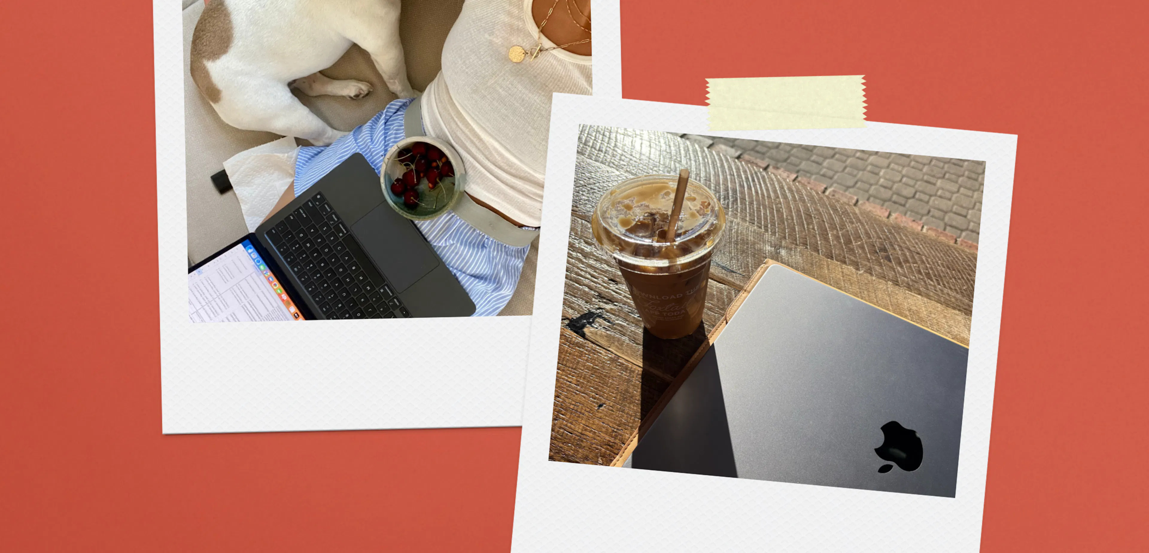 How Instagram Ranking Works: Everything You Need to Know