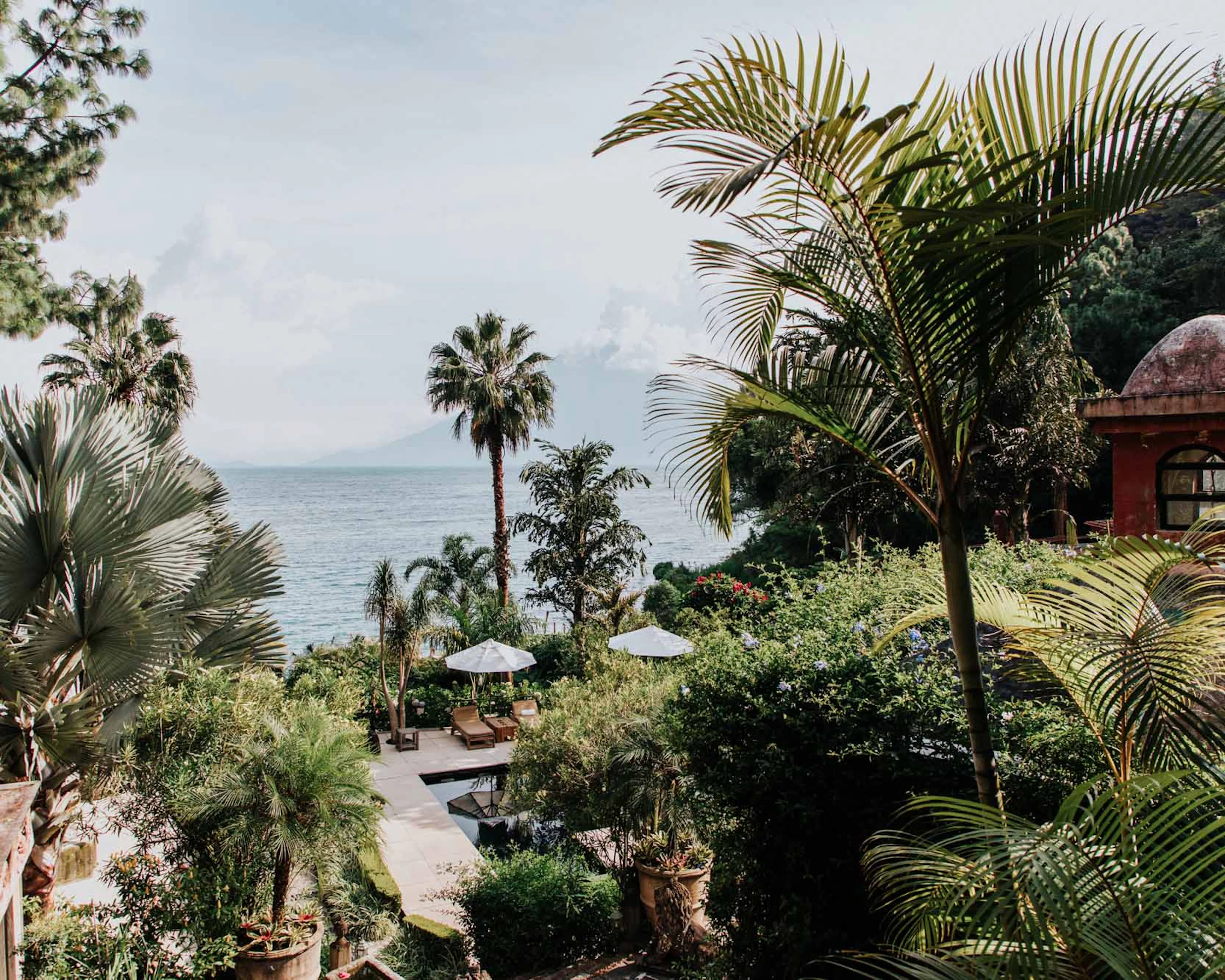 Palm trees and a garden above the ocean